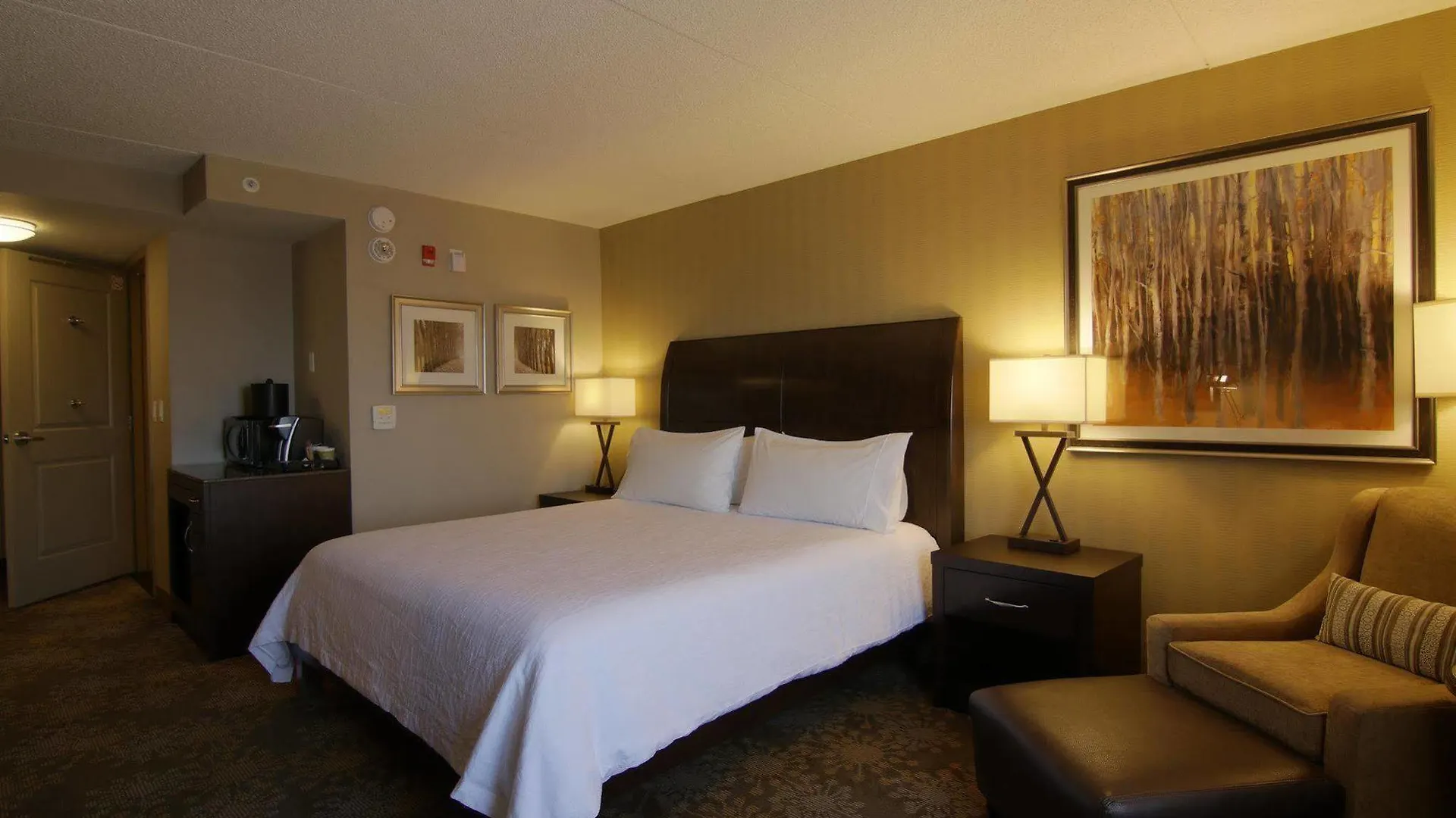 Hotel Hilton Garden Inn Toronto/Brampton
